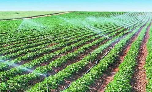 欧美操穴视频看看农田高 效节水灌溉